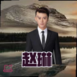 赵琳